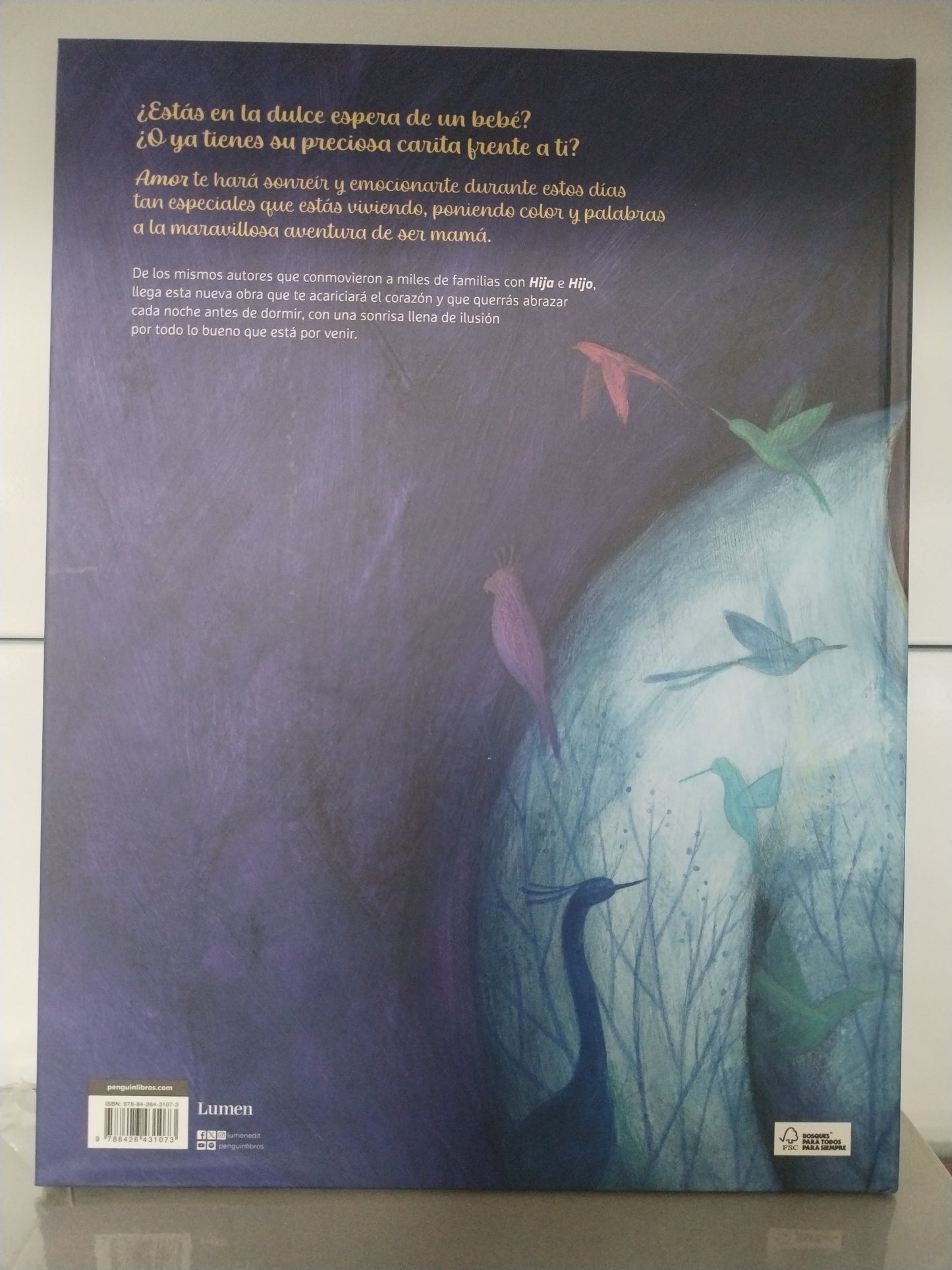 Cuento "Amor", Ariel Almada y Sonja Wimmer. Editorial Lumen.